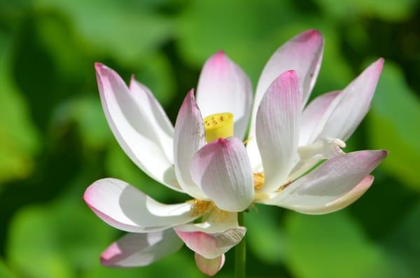 Zensations Massage Therapy