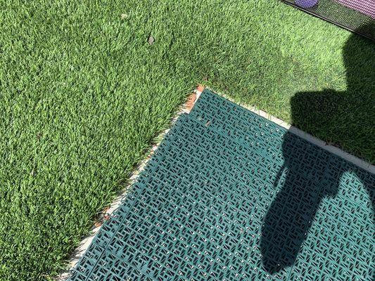 Pinnacle Sports Group