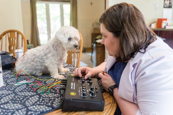 Ondera Veterinary Services