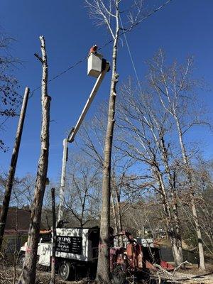 Allen's Tree Service