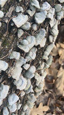 Fairfield Lake State Park