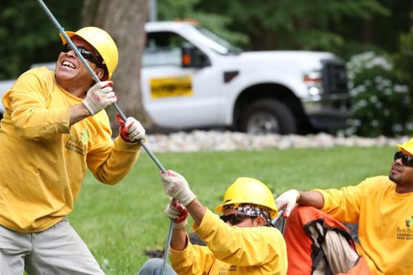 Flavio Domeneck Landscaping Inc.