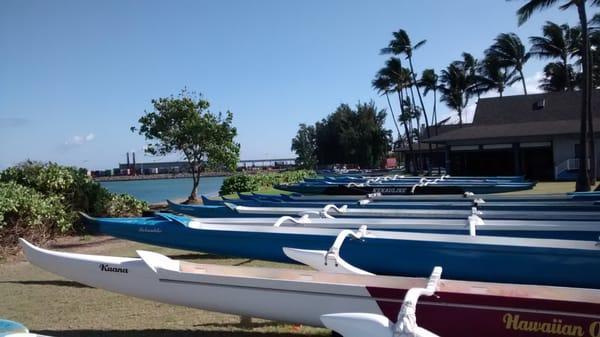 Portion of their fleet of canoes ready to race!