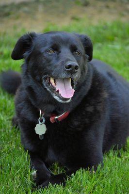 Genesee Valley Veterinary Hospital