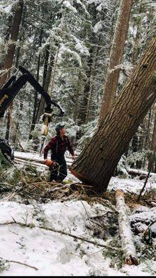 Marcus Anderson Properties