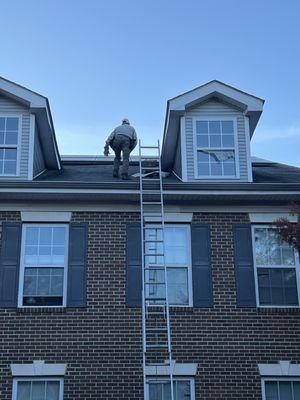 Seddiq was quick to come out and retrieve a trapped Raccoon! Great customer service and took great care in the handling of the raccoon!