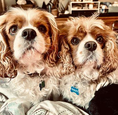 TCR Rooter & Plumbing Repair