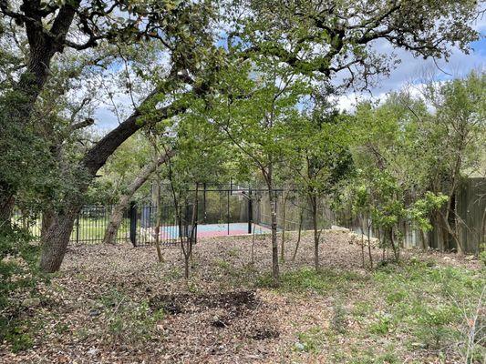 Julio Cruz Tree Care