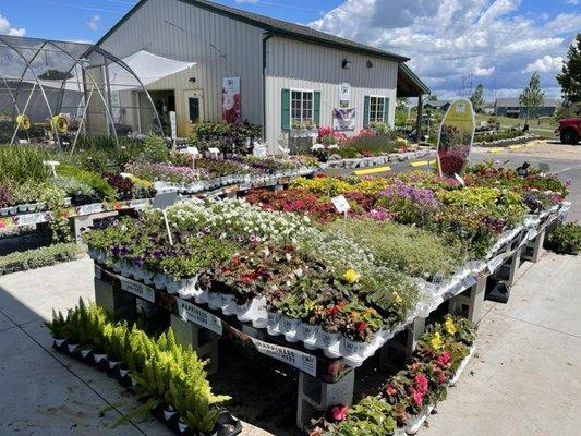 Windridge Perennials & Landscaping