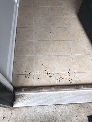 Native Field Landscapng