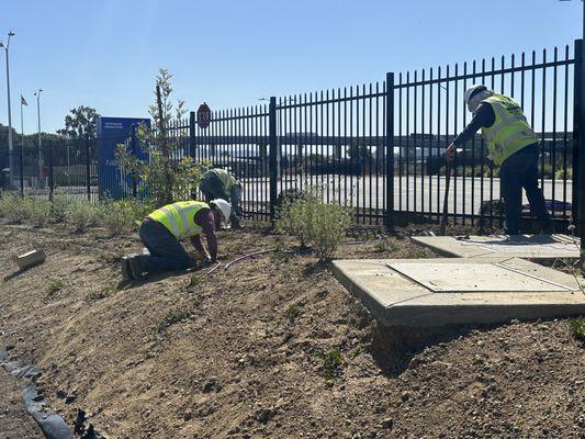 EV Landscape Services