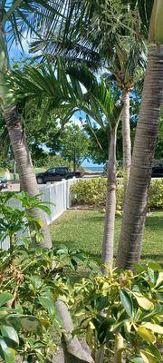 Oceans Beach Resort & Suites