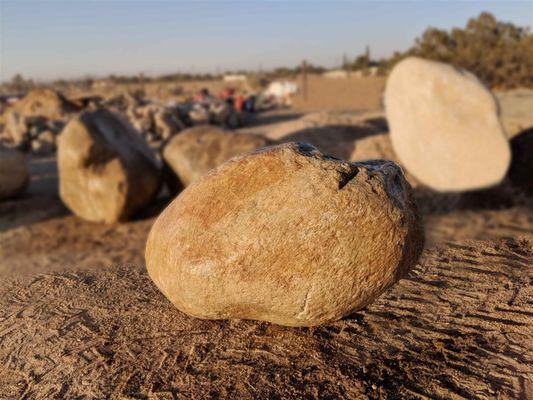 Transform your outdoor space with Foothill River Boulders landscaping. Foothill River Boulders is a granite type rock.
