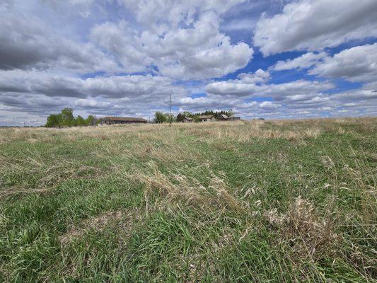 Holly Micheletto - Real Broker