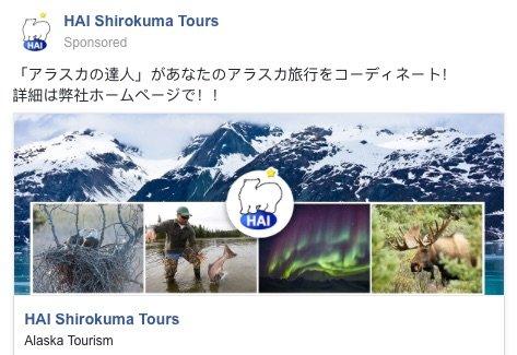 Hai Shirokuma Tours