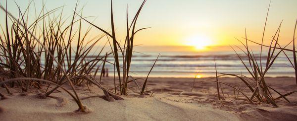 Kyle Krzeminski PA - Allison James Estates And Homes