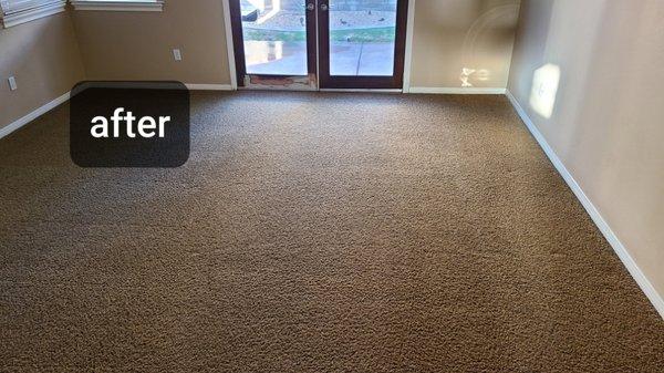 Prestige Carpet and Upholstery Cleaning
