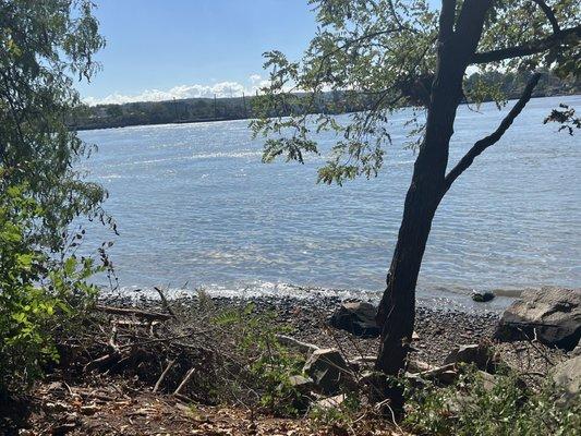 Mayor Dennis P Collins Park