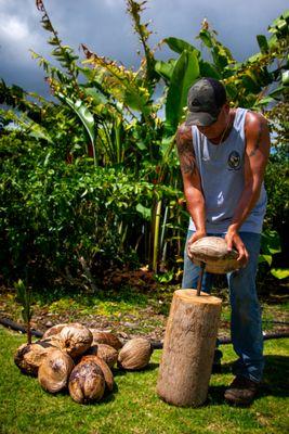 Kula Pueo Farm Tours