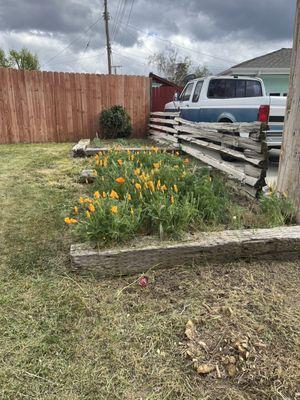 J & Z Cleaning Services