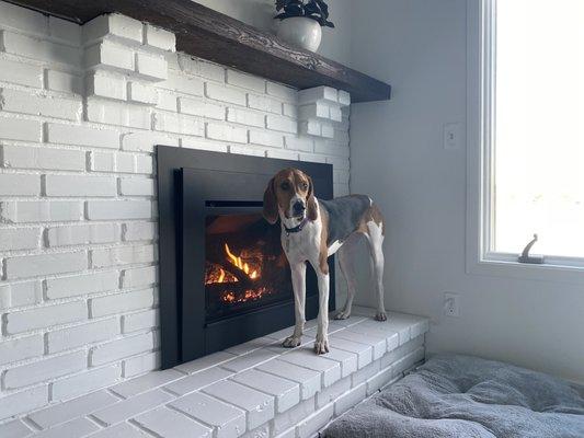 Fireplace Gallery