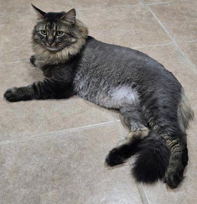 Jed showing off his new haircut!