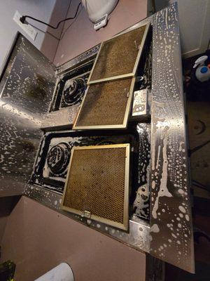 Janus Homes Cleaning