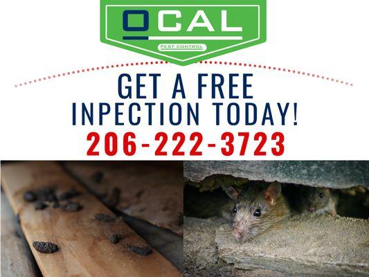 Ocal Rodent Proofing