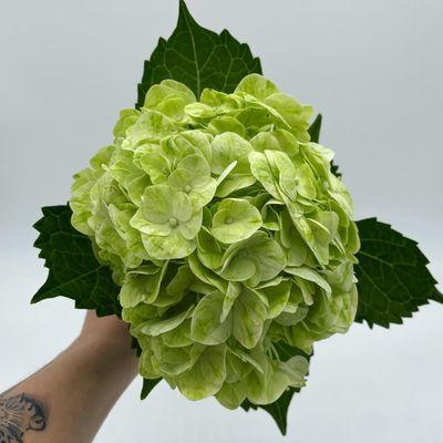 Price’s Floral Wholesale