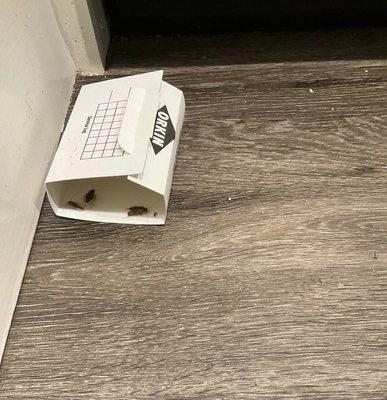 Stone Creek Apartments