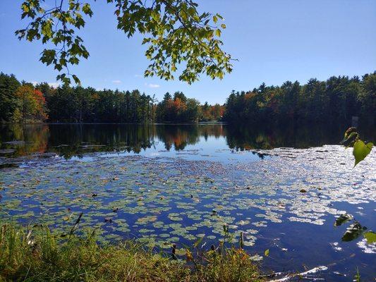 Donnabeth Lippman Park