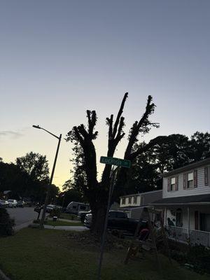 Amazing Hard Work Fellas