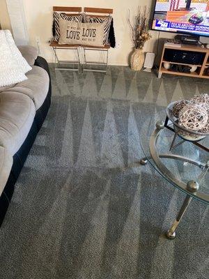 Mister Carpet Cleaning