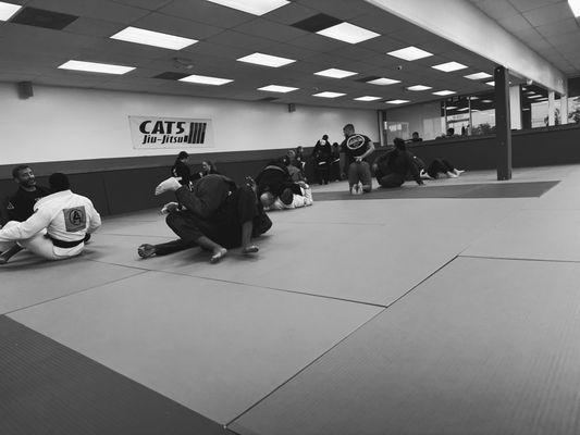Centurion Jiu-Jitsu Academy