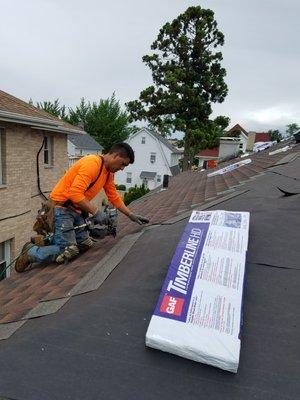 D.R. World Of Gutters