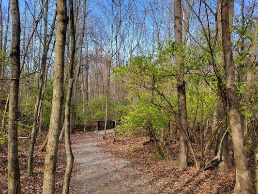 Johnson Nature Preserve near stream