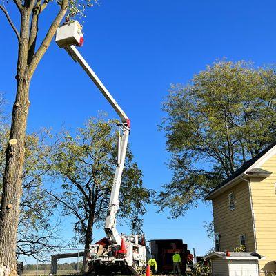 Up North Outdoor Services