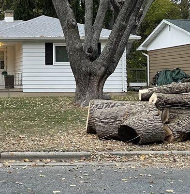 Great Oaks Tree Service