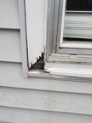 Freedom Vacation Rentals