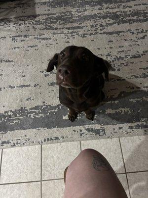 Molly after her visit