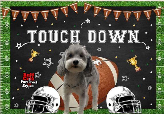A touchdown with Ruff Cuts & Purrfect Styles
