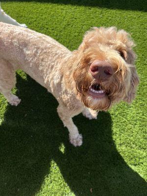 Look at the uneven paws ...