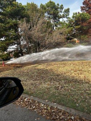 Woodchase Apartments