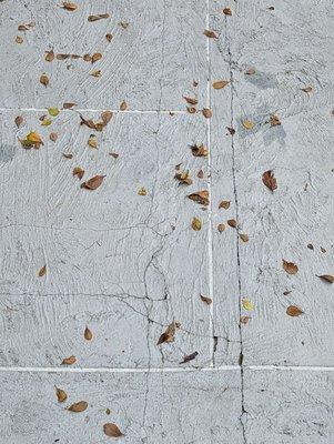 Miami Concrete Designs