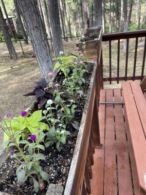 Floral for the rail boxes.