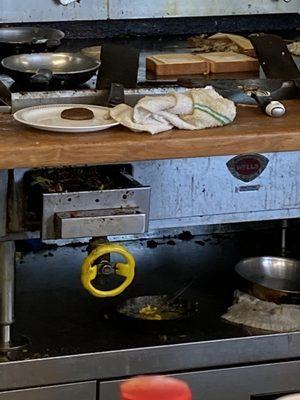 Waffle House