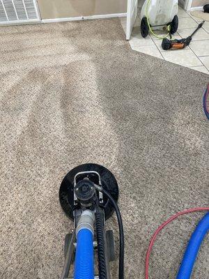 Reids Clean Service Provider