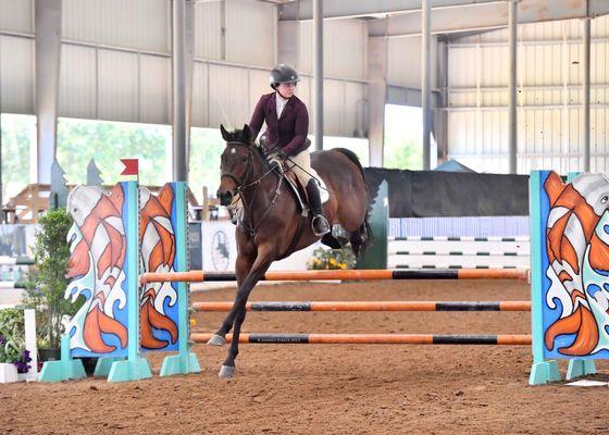 Equine International Stables