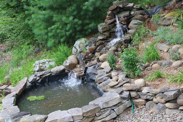 WildThings Rescue Nursery