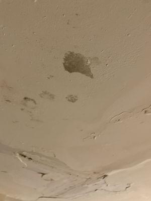 Bedroom four days after water damage